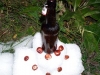 beer_art_0001