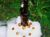 beer_art_0002